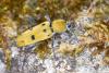 326525 – Photo : naudon david – France (87)